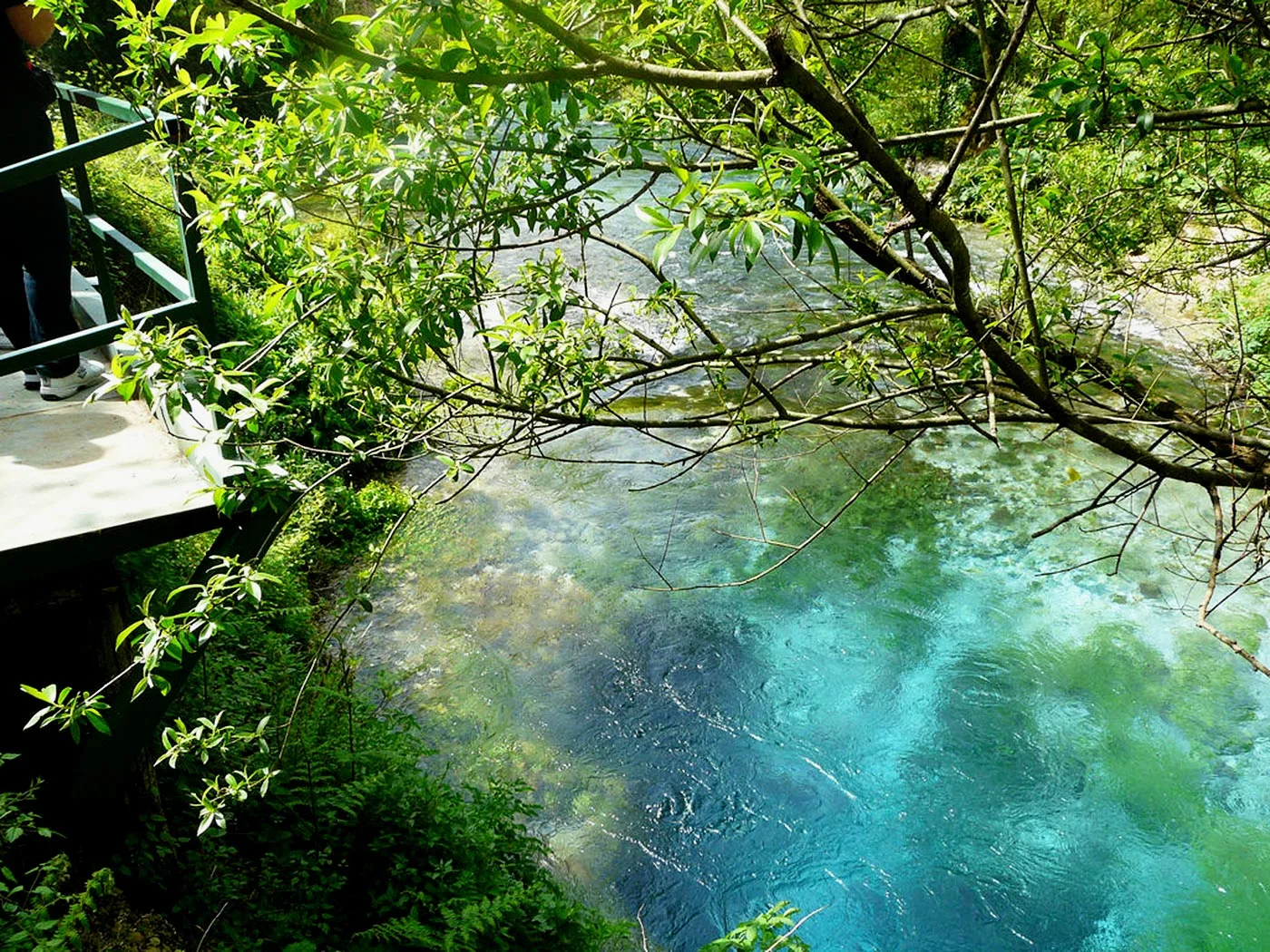 blue eye albania blue eye albania