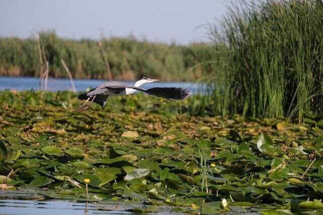 cea mai frumoasa statiune din romania