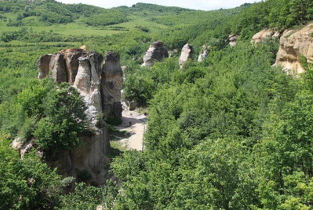 gradina zmeilor gradina zmeilor