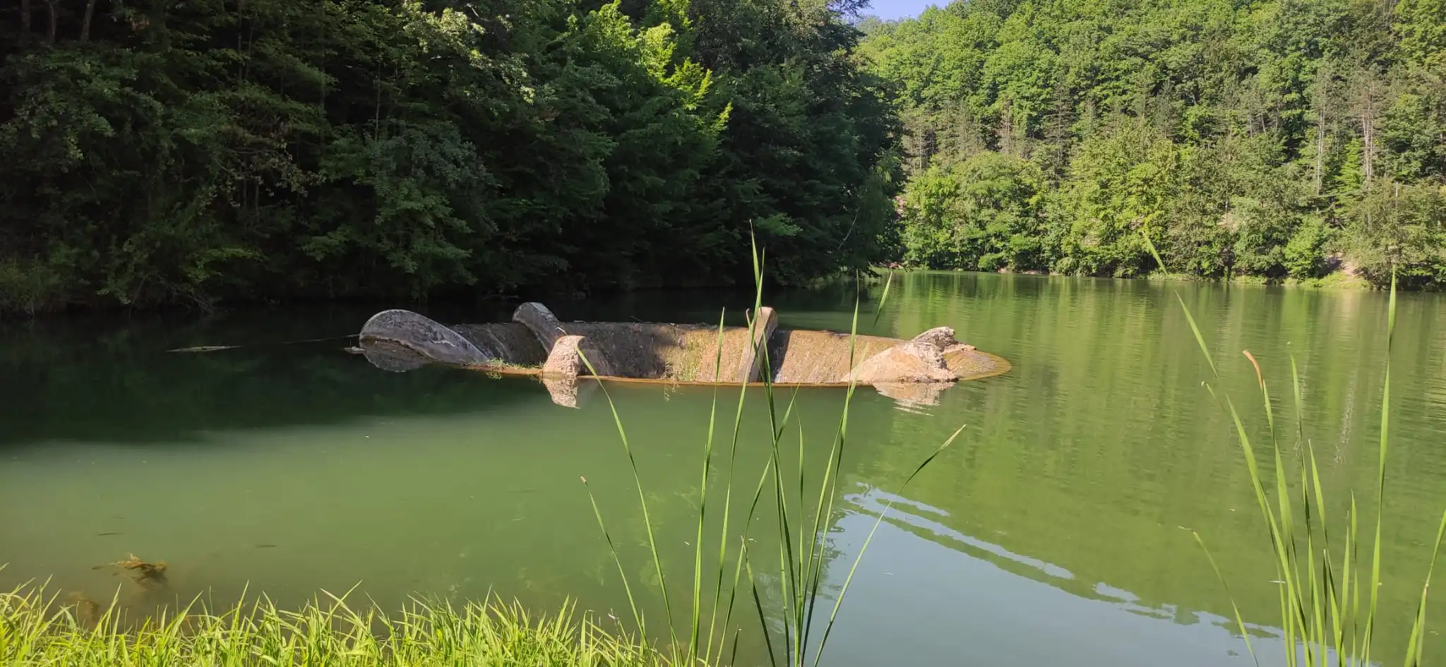 lacul vida oradea obiective turistice